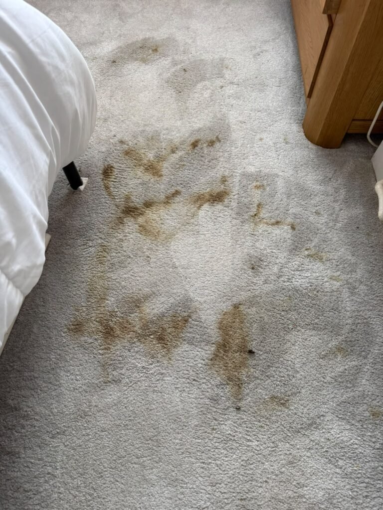 Stained bedroom carpet before cleaning by Dirt Busters