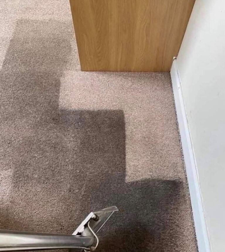 Carpet by a wardrobe showing a cleaned stripe