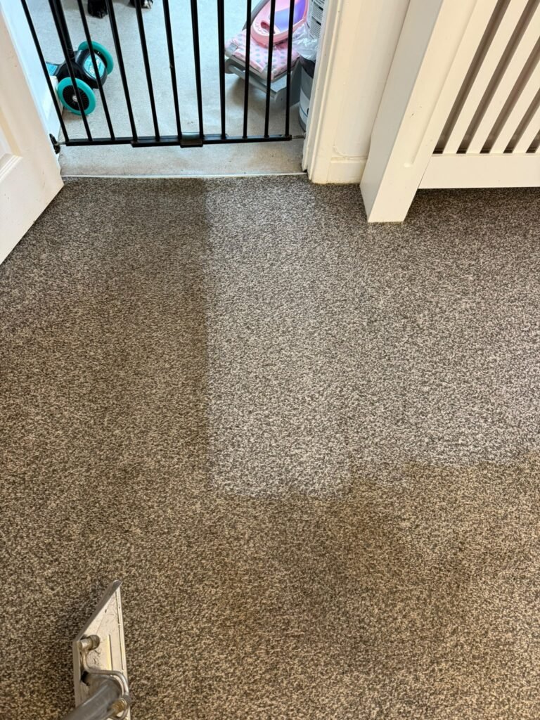 Hallway carpet showing a clear clean line mid-way through cleaning