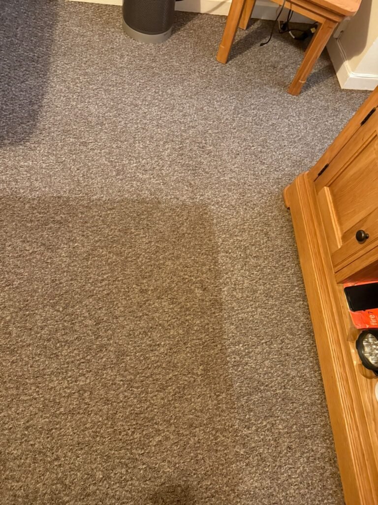 Carpet partly cleaned beside furniture showing the difference