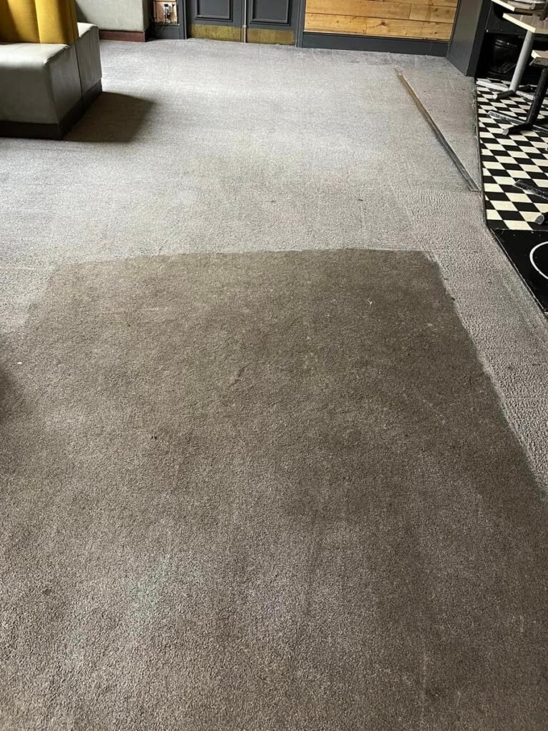 Grey carpet with a freshly cleaned section